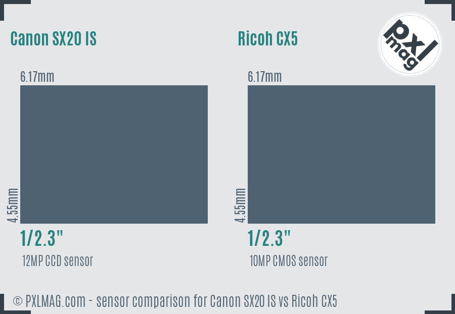 Canon SX20 IS vs Ricoh CX5 sensor size comparison