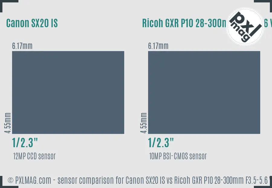 Canon SX20 IS vs Ricoh GXR P10 28-300mm F3.5-5.6 VC sensor size comparison