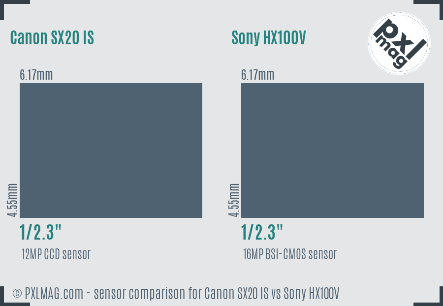 Canon SX20 IS vs Sony HX100V sensor size comparison
