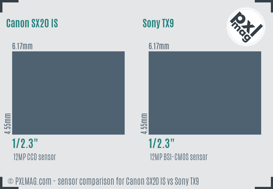 Canon SX20 IS vs Sony TX9 sensor size comparison Canon SX20 IS vs Sony TX9 sensor size comparison