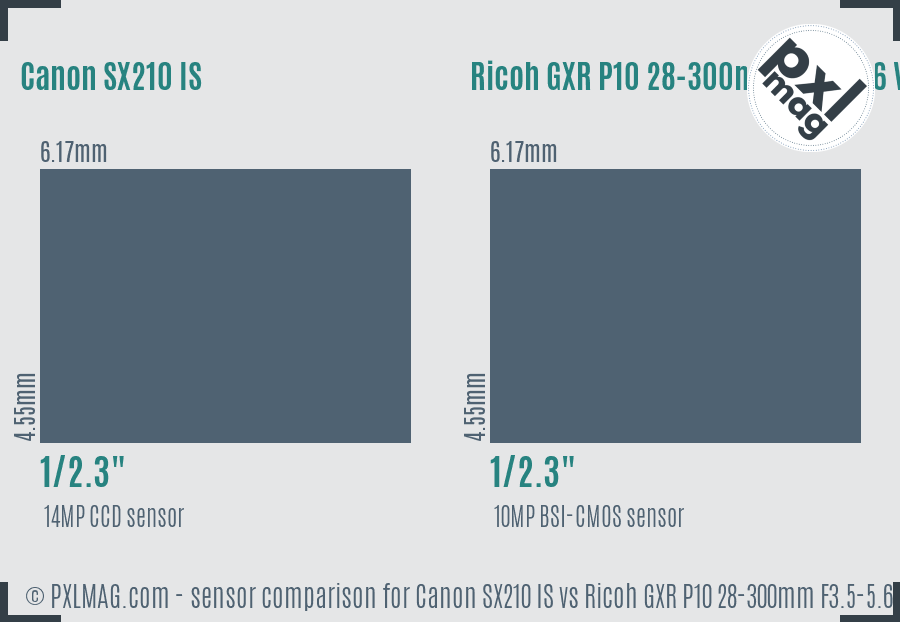 Canon SX210 IS vs Ricoh GXR P10 28-300mm F3.5-5.6 VC sensor size comparison