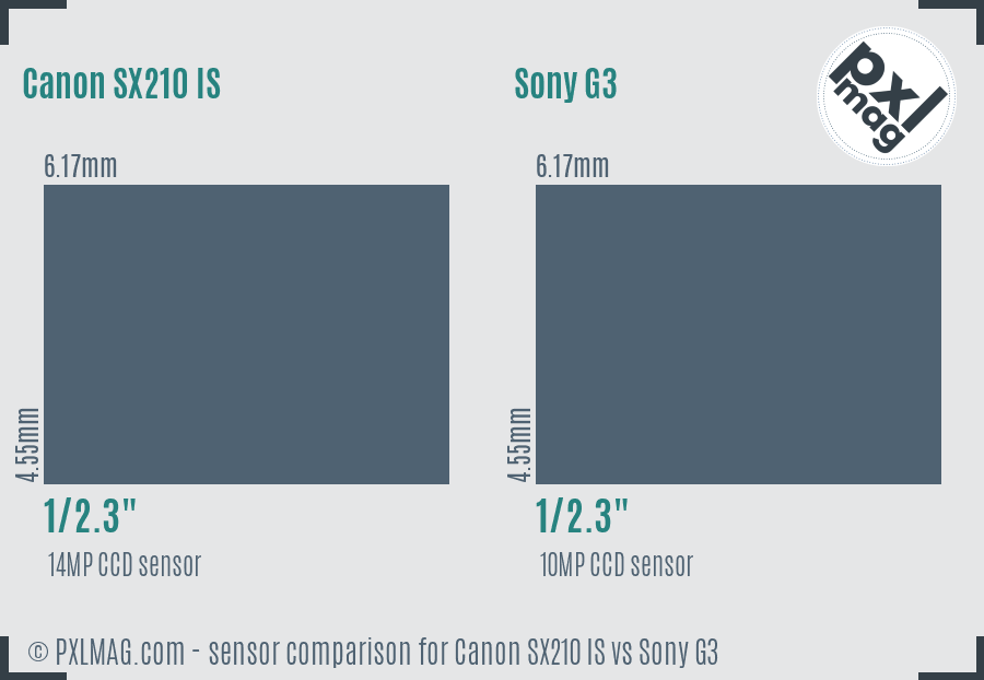 Canon SX210 IS vs Sony G3 sensor size comparison