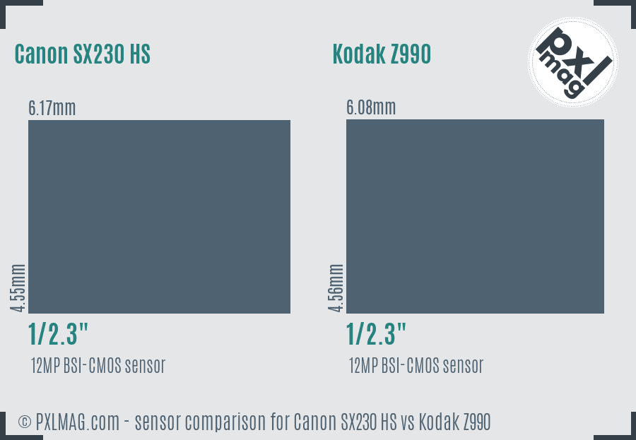 Canon SX230 HS vs Kodak Z990 sensor size comparison