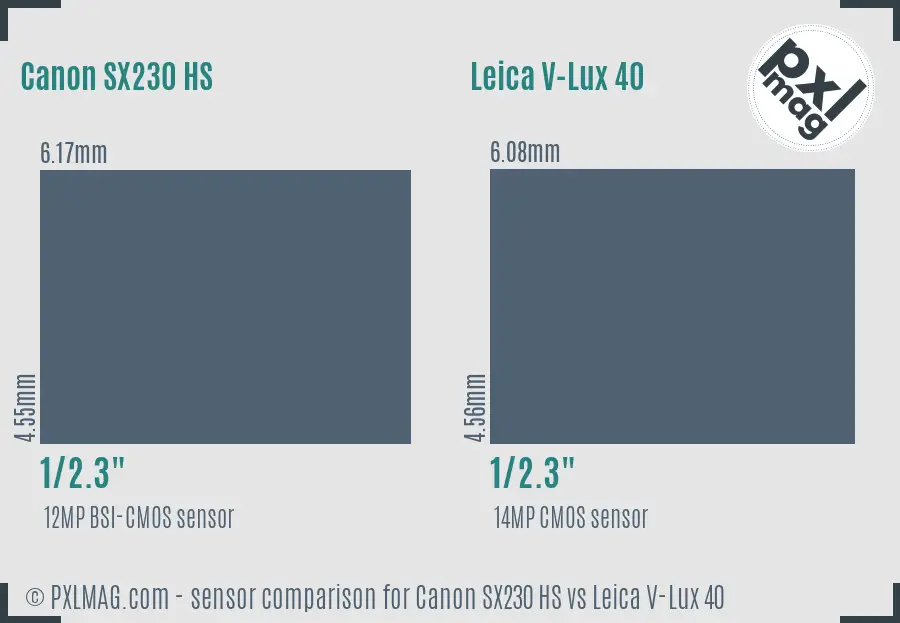 Canon SX230 HS vs Leica V-Lux 40 sensor size comparison