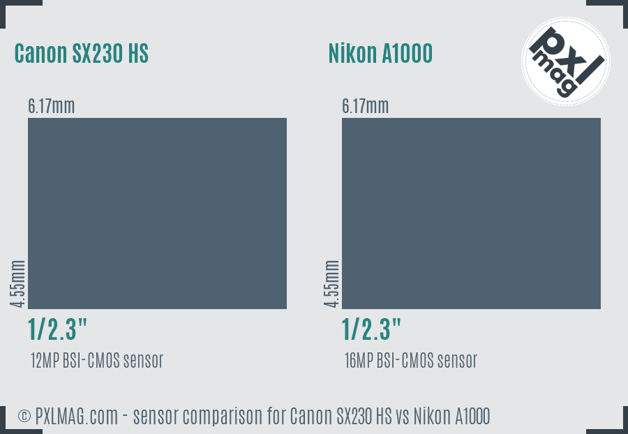 Canon SX230 HS vs Nikon A1000 sensor size comparison