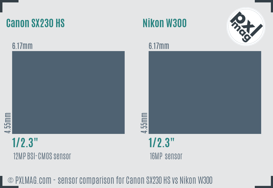 Canon SX230 HS vs Nikon W300 sensor size comparison