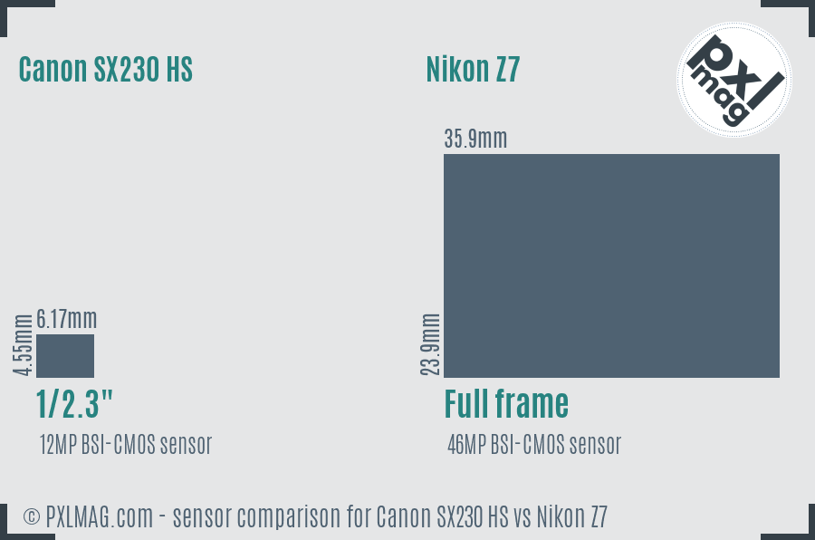 Canon SX230 HS vs Nikon Z7 sensor size comparison