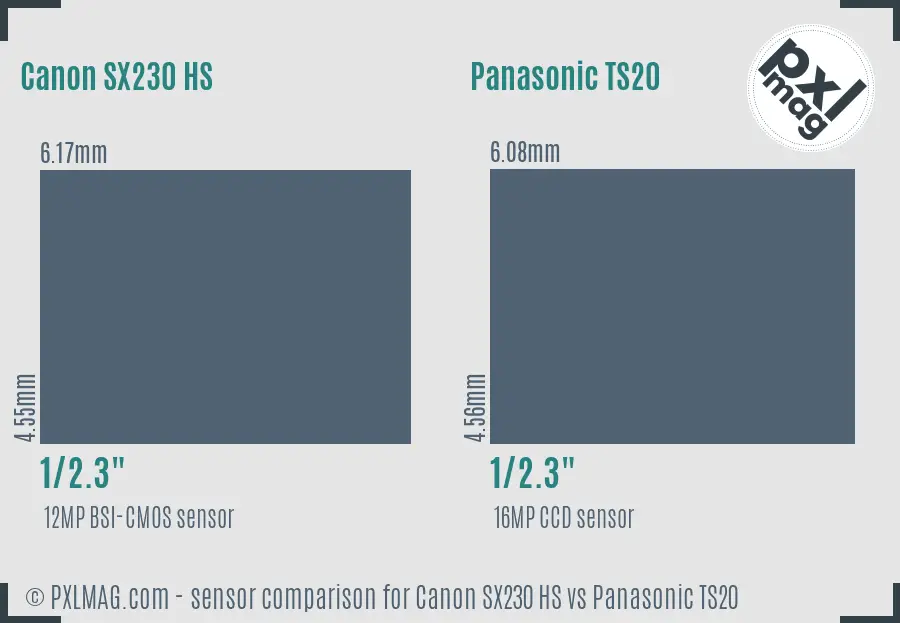 Canon SX230 HS vs Panasonic TS20 sensor size comparison