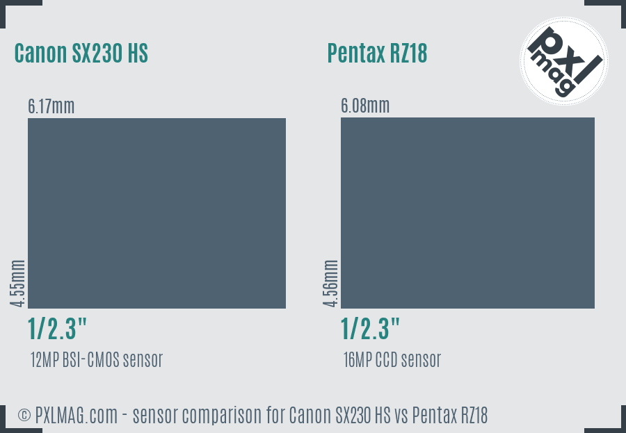 Canon SX230 HS vs Pentax RZ18 sensor size comparison