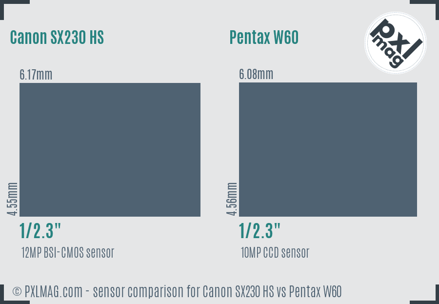 Canon SX230 HS vs Pentax W60 sensor size comparison