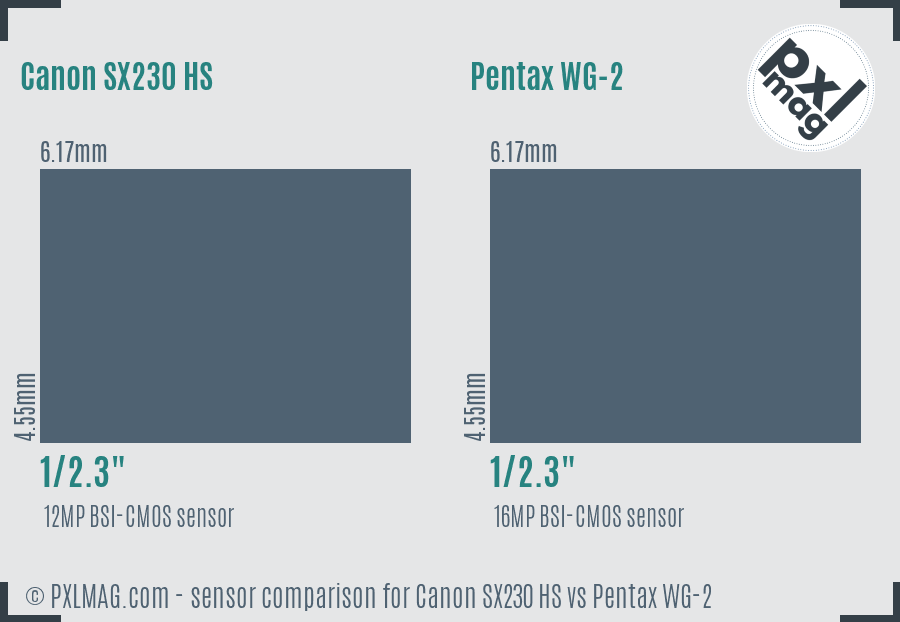 Canon SX230 HS vs Pentax WG-2 sensor size comparison