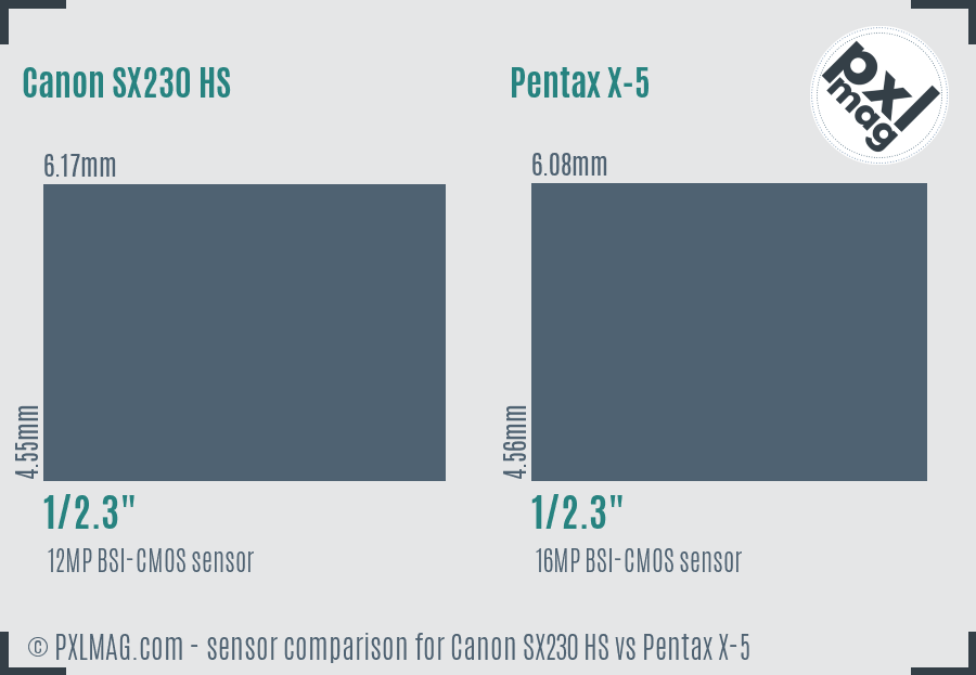 Canon SX230 HS vs Pentax X-5 sensor size comparison