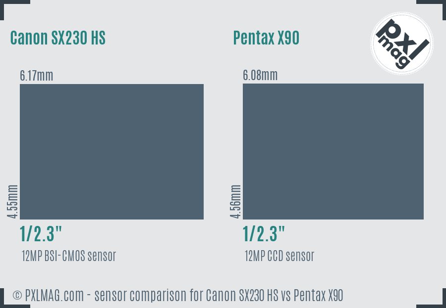 Canon SX230 HS vs Pentax X90 sensor size comparison