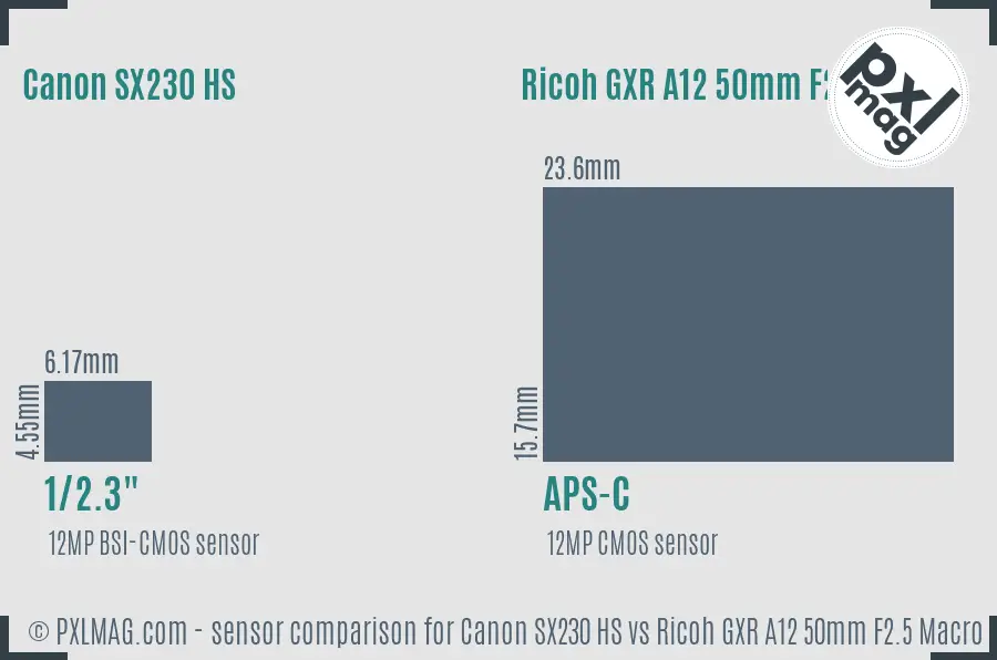 Canon SX230 HS vs Ricoh GXR A12 50mm F2.5 Macro sensor size comparison