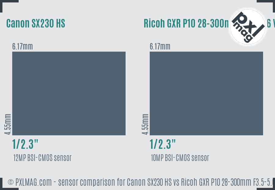 Canon SX230 HS vs Ricoh GXR P10 28-300mm F3.5-5.6 VC sensor size comparison