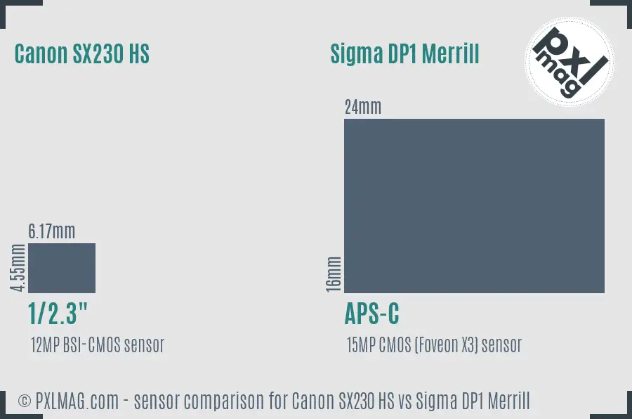 Canon SX230 HS vs Sigma DP1 Merrill sensor size comparison