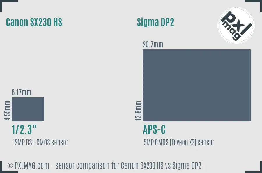 Canon SX230 HS vs Sigma DP2 sensor size comparison
