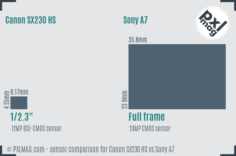 Canon SX230 HS vs Sony A7 sensor size comparison