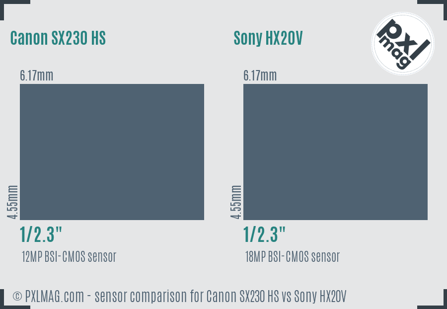 Canon SX230 HS vs Sony HX20V sensor size comparison