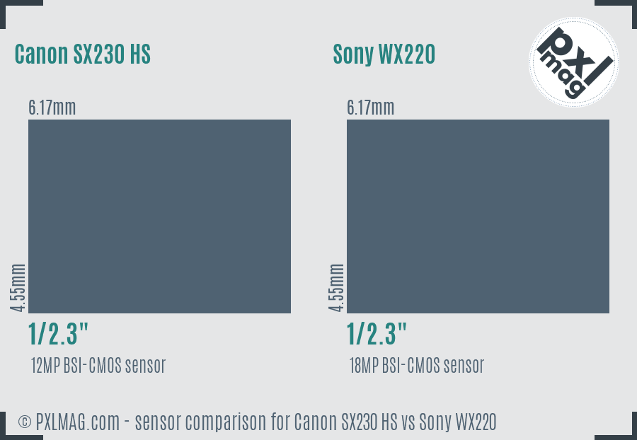 Canon SX230 HS vs Sony WX220 sensor size comparison