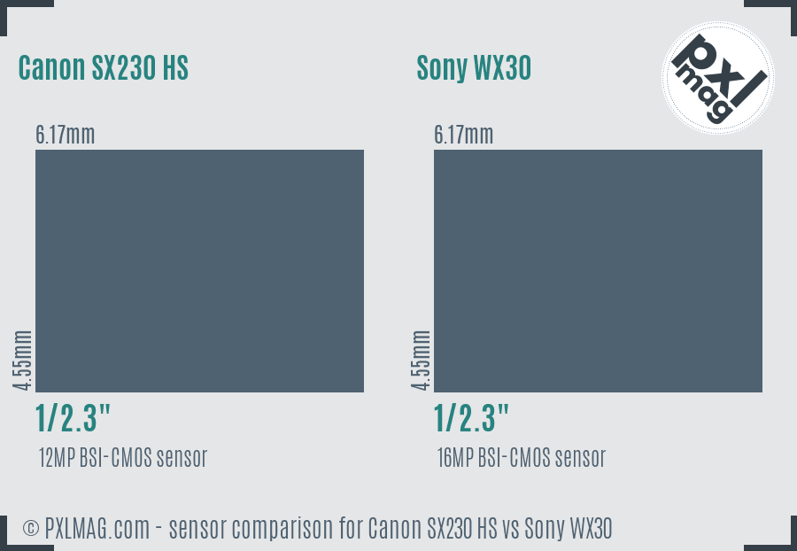Canon SX230 HS vs Sony WX30 sensor size comparison