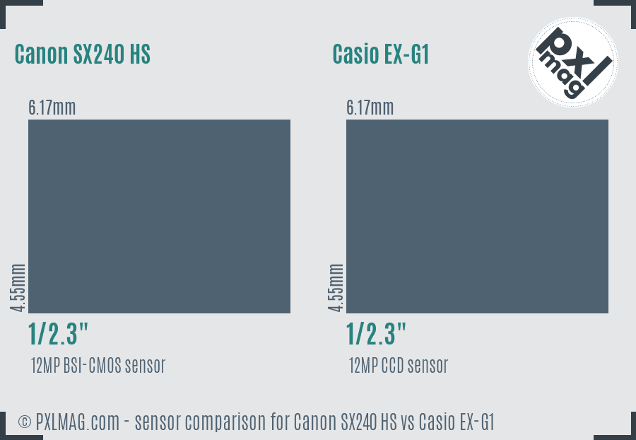 Canon SX240 HS vs Casio EX-G1 sensor size comparison