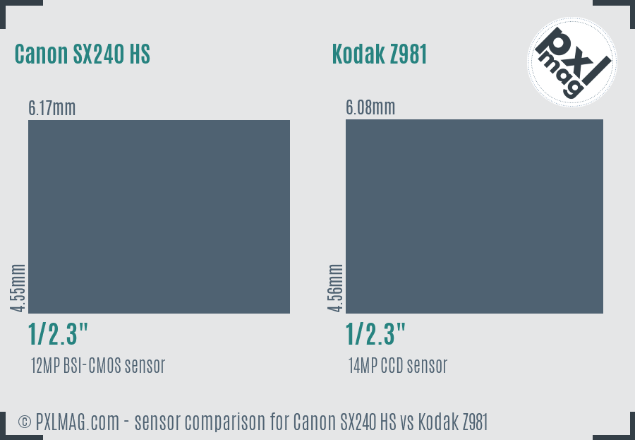 Canon SX240 HS vs Kodak Z981 sensor size comparison