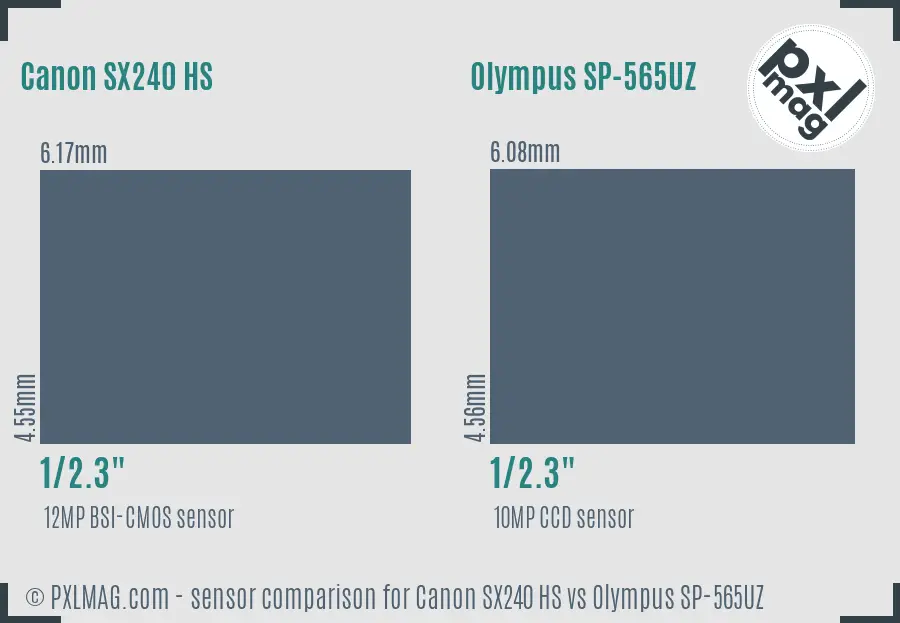 Canon SX240 HS vs Olympus SP-565UZ sensor size comparison