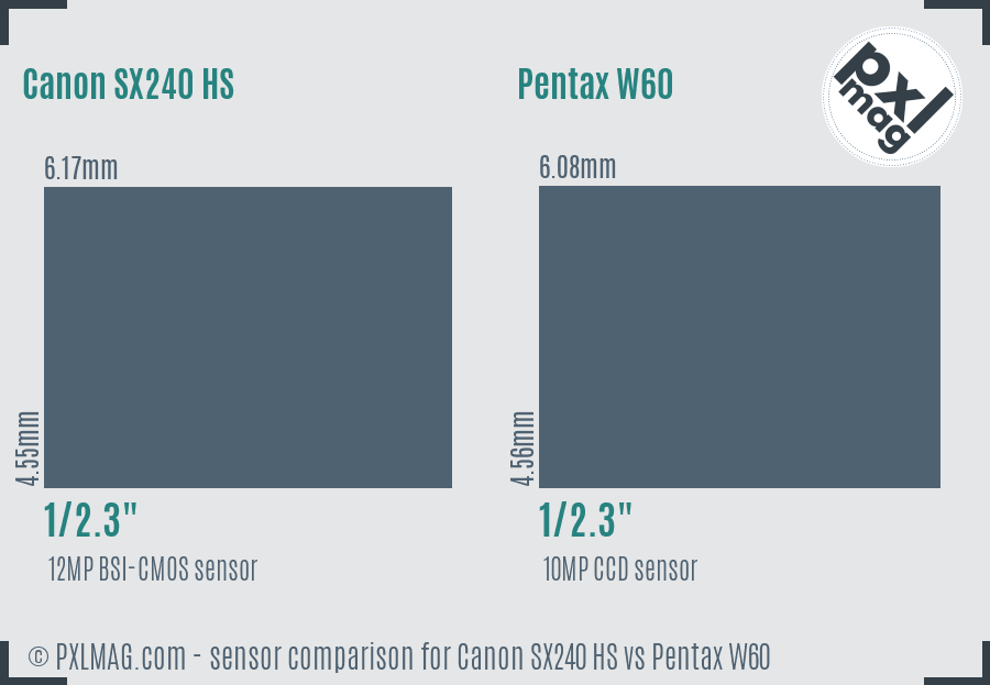 Canon SX240 HS vs Pentax W60 sensor size comparison
