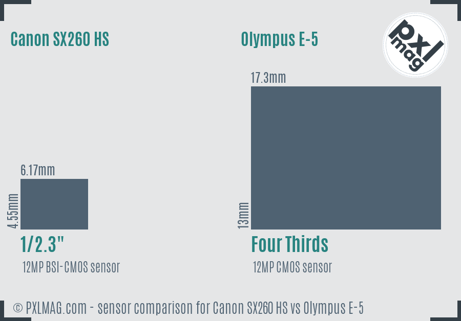 Canon SX260 HS vs Olympus E-5 sensor size comparison