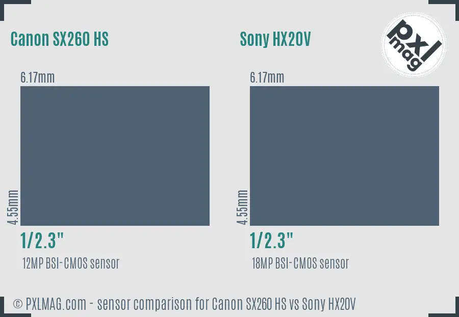 Canon SX260 HS vs Sony HX20V sensor size comparison
