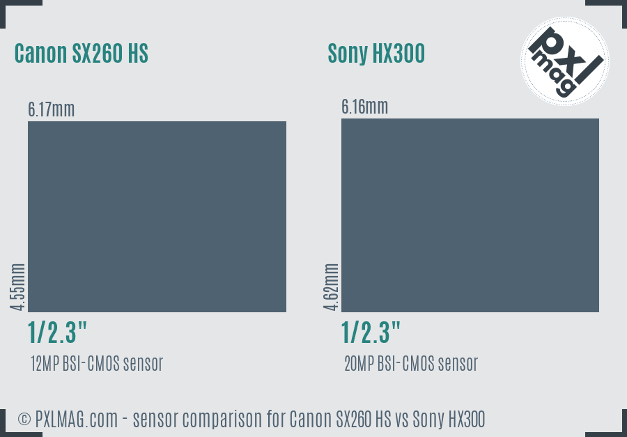 Canon SX260 HS vs Sony HX300 sensor size comparison