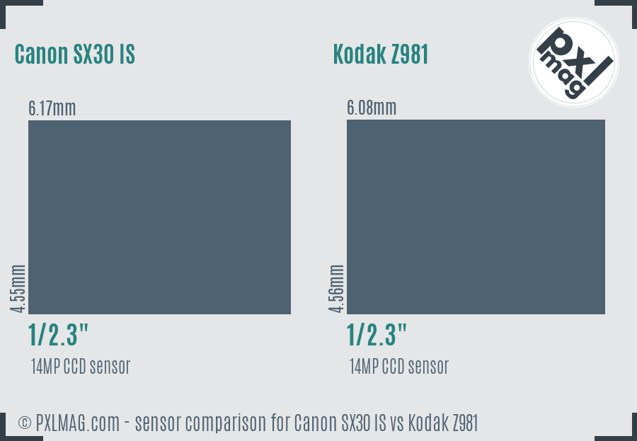 Canon SX30 IS vs Kodak Z981 sensor size comparison