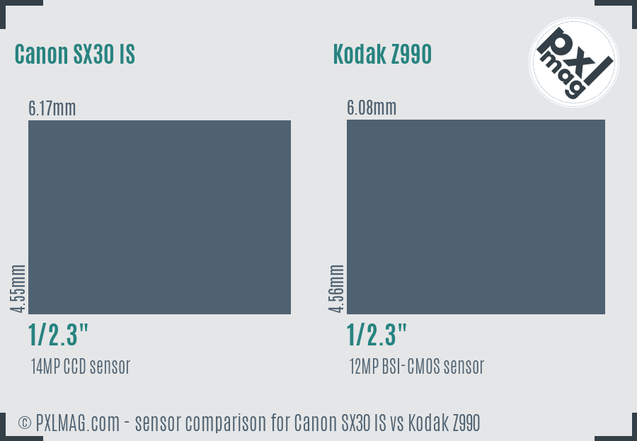 Canon SX30 IS vs Kodak Z990 sensor size comparison