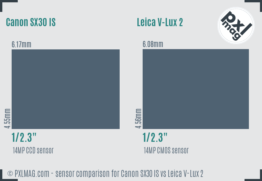 Canon SX30 IS vs Leica V-Lux 2 sensor size comparison