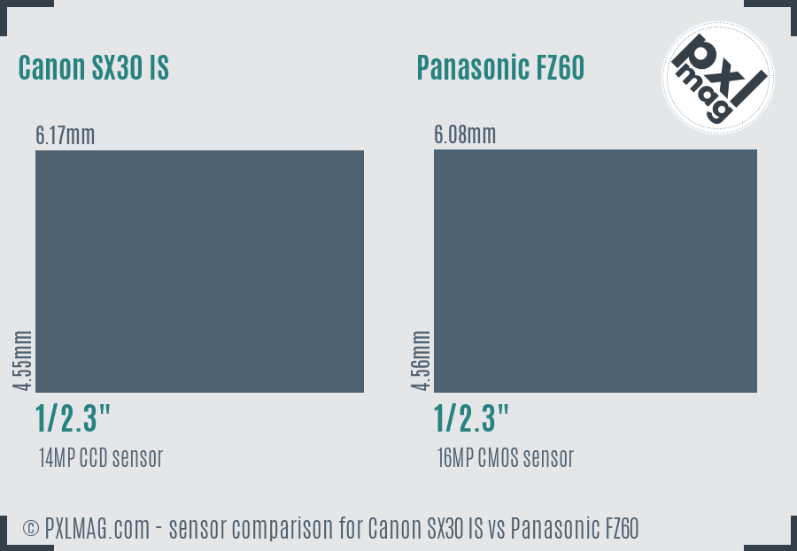 Canon SX30 IS vs Panasonic FZ60 sensor size comparison