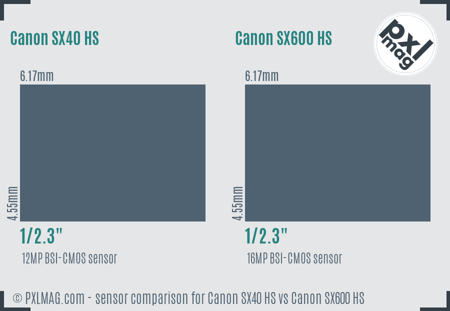 Canon SX40 HS vs Canon SX600 HS sensor size comparison