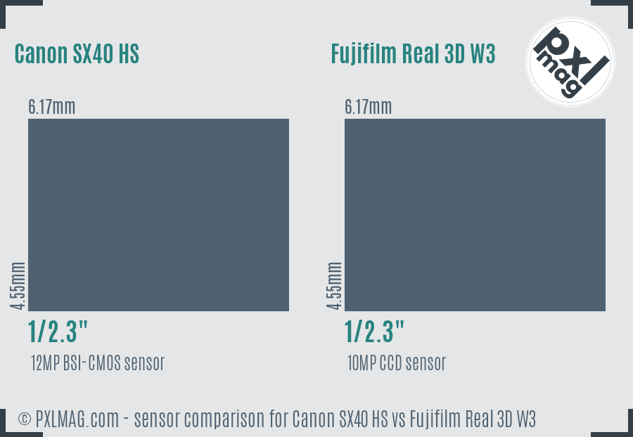 Canon SX40 HS vs Fujifilm Real 3D W3 sensor size comparison Canon SX40 HS vs Fujifilm Real 3D W3 sensor size comparison
