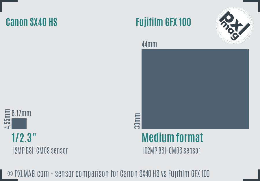 Canon SX40 HS vs Fujifilm GFX 100 sensor size comparison
