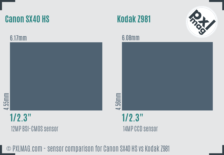 Canon SX40 HS vs Kodak Z981 sensor size comparison