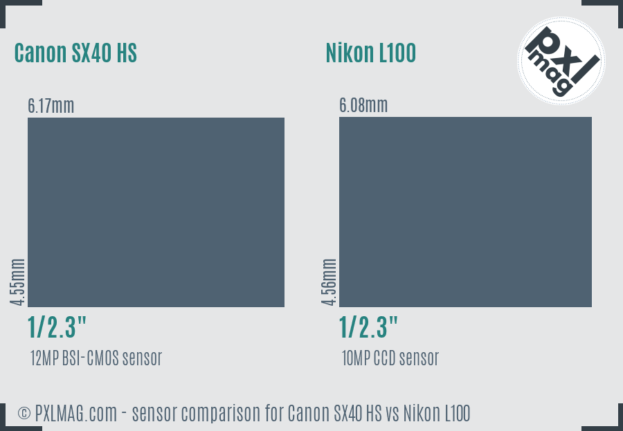 Canon SX40 HS vs Nikon L100 sensor size comparison