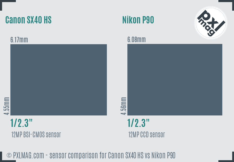 Canon SX40 HS vs Nikon P90 sensor size comparison