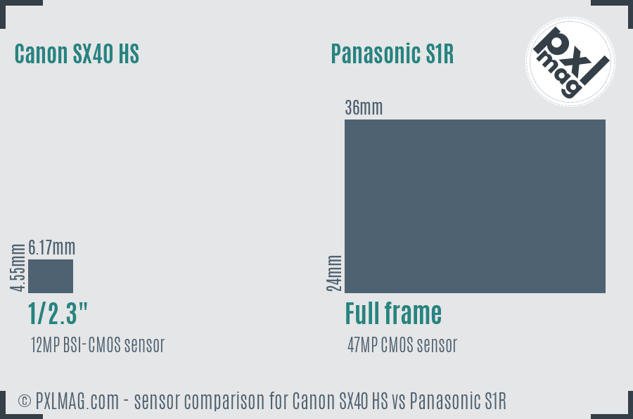 Canon SX40 HS vs Panasonic S1R sensor size comparison