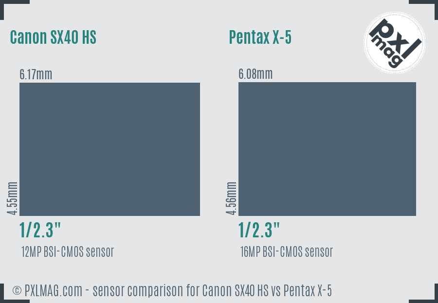 Canon SX40 HS vs Pentax X-5 sensor size comparison