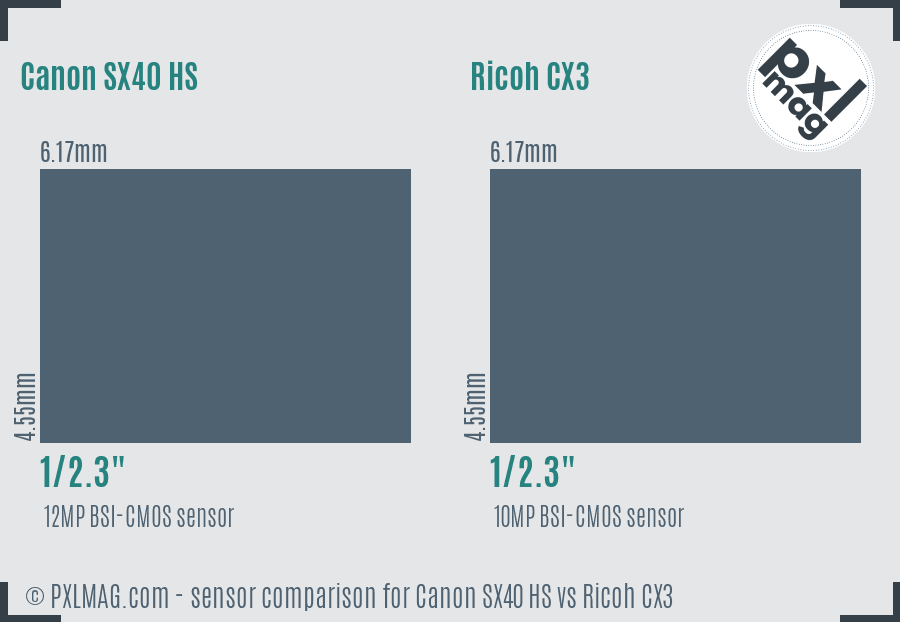 Canon SX40 HS vs Ricoh CX3 sensor size comparison
