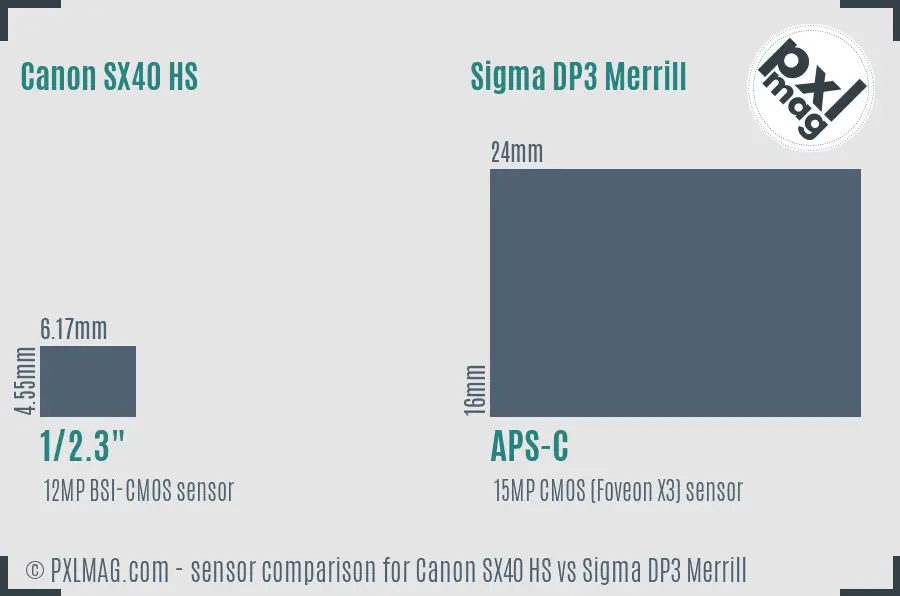 Canon SX40 HS vs Sigma DP3 Merrill sensor size comparison