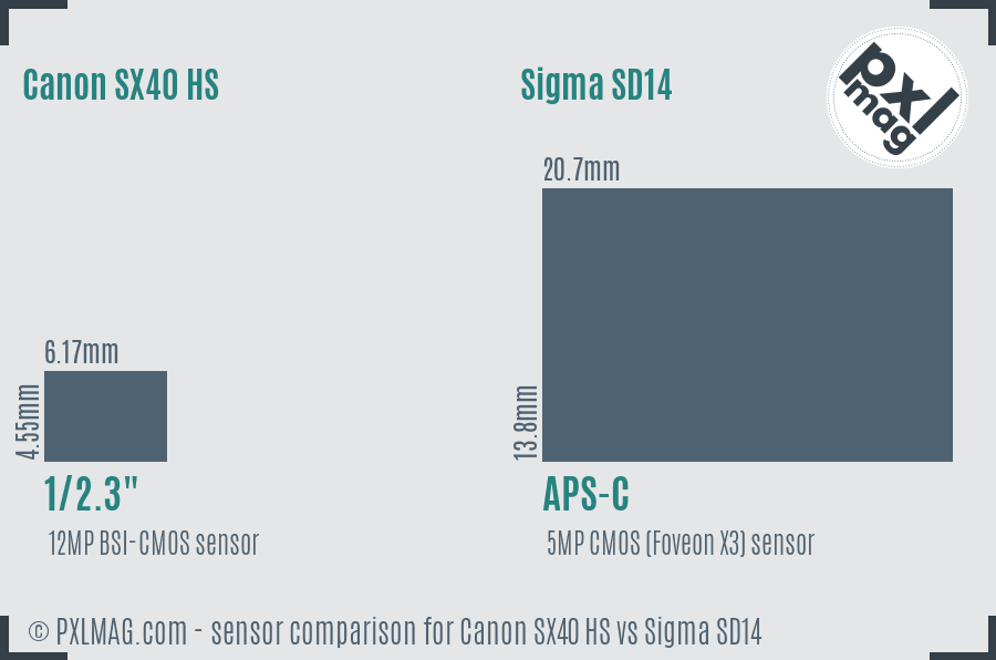 Canon SX40 HS vs Sigma SD14 sensor size comparison