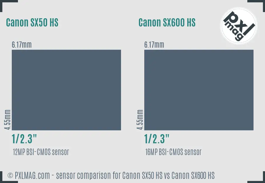 Canon SX50 HS vs Canon SX600 HS sensor size comparison