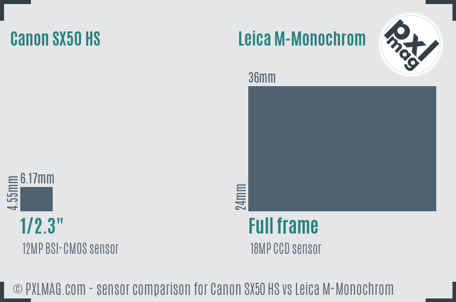 Canon SX50 HS vs Leica M-Monochrom sensor size comparison Canon SX50 HS vs Leica M-Monochrom sensor size comparison
