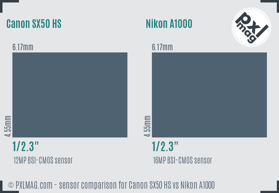 Canon SX50 HS vs Nikon A1000 sensor size comparison